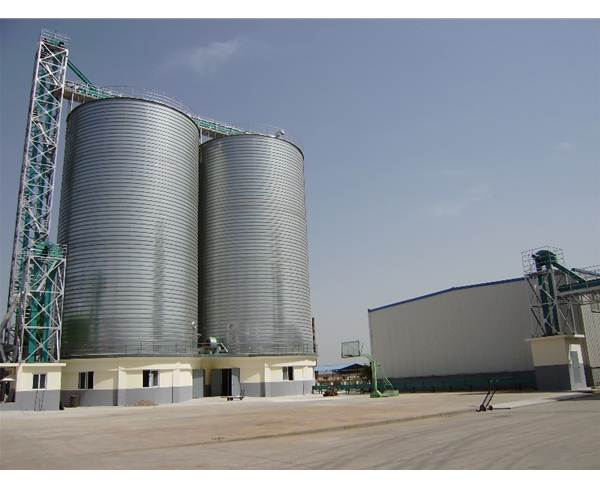 山東黃河王酒廠