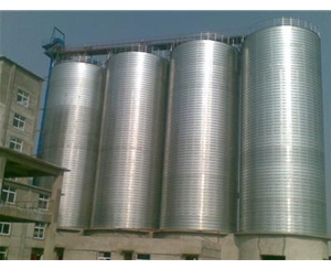 大型鋼板倉(cāng)